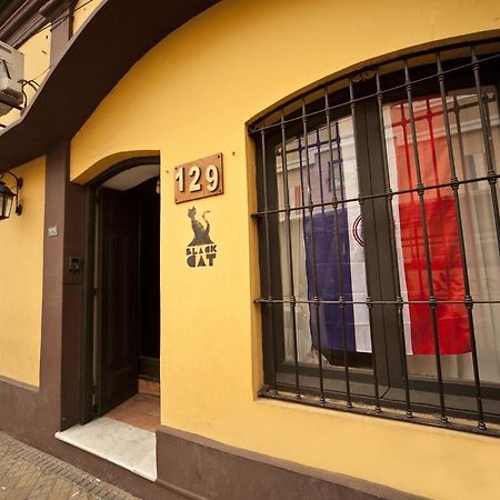 Black Cat Hostel Asunción Exterior foto